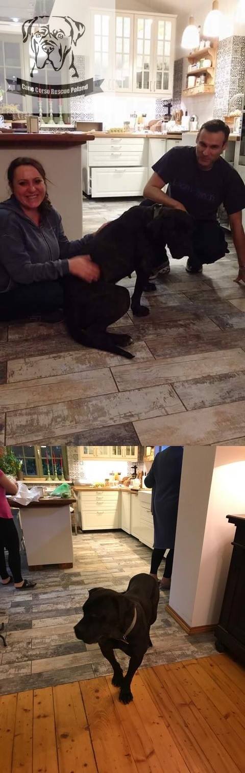 I jeszcze ciut o Zaruni